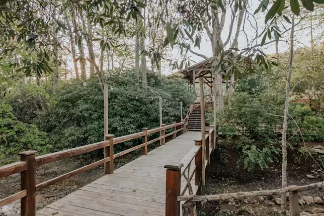 Boardwalk to the pavilion