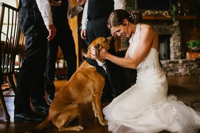 The best-dressed guest